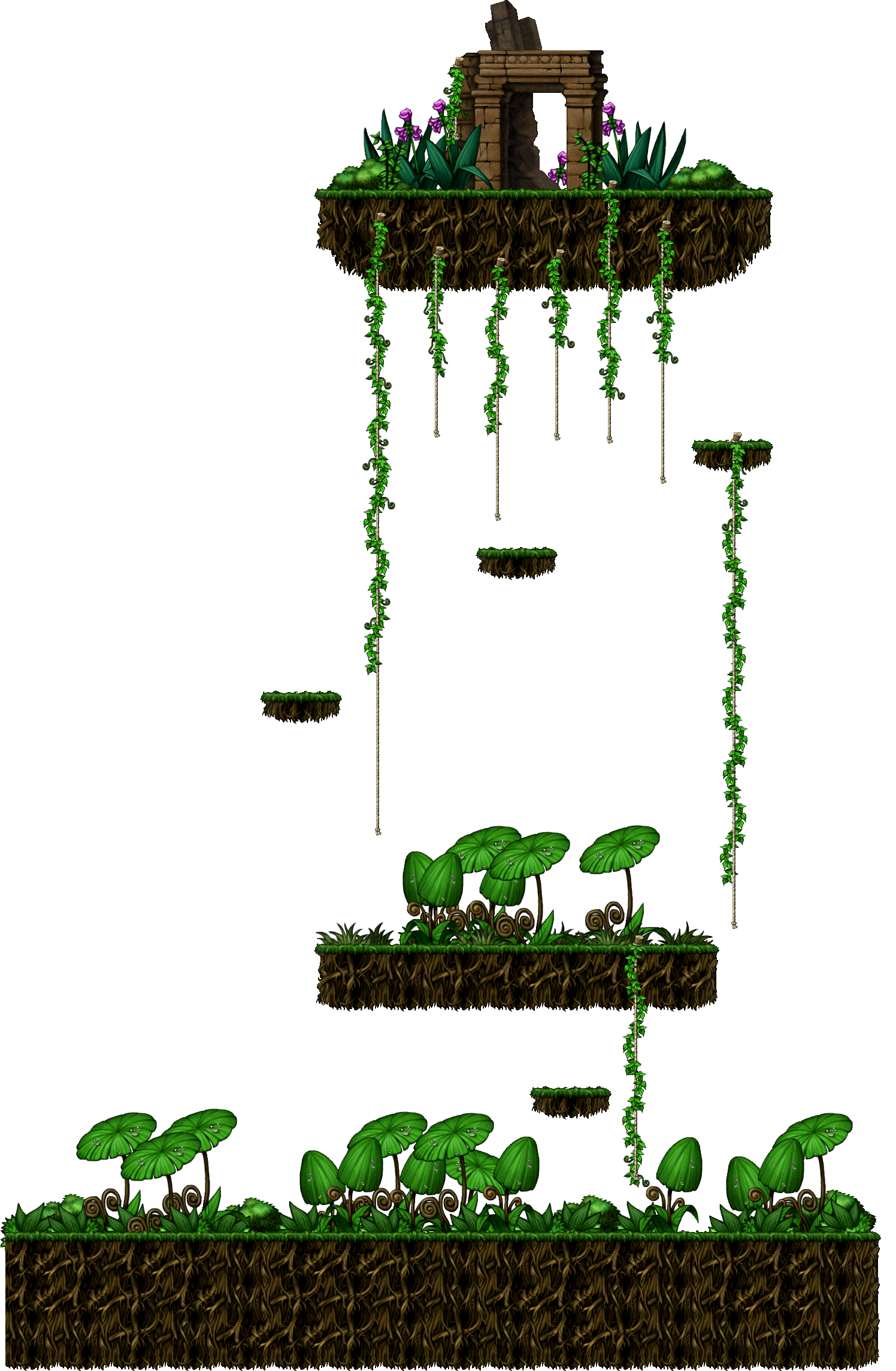 Damp Forest