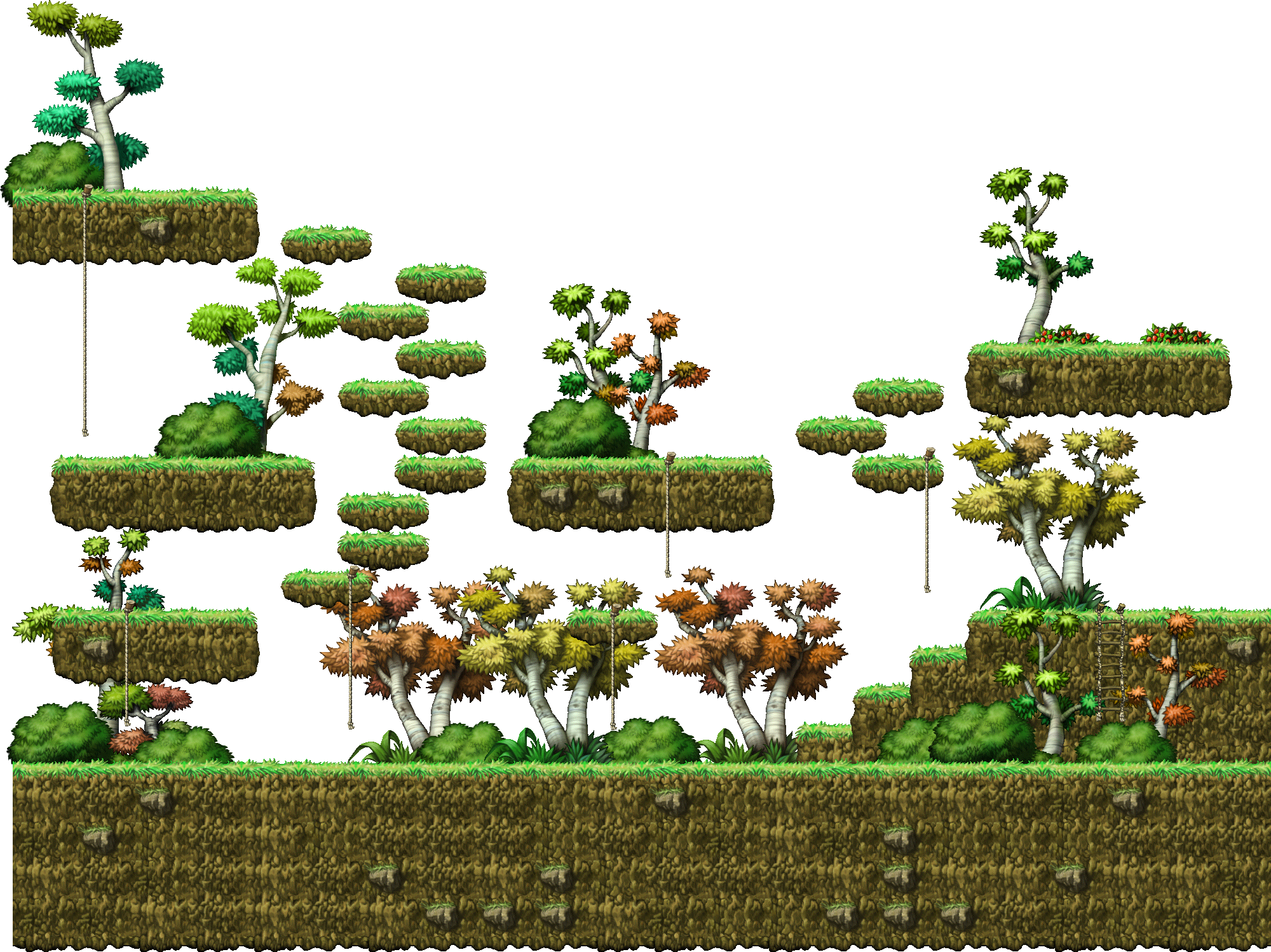 In a Small Forest