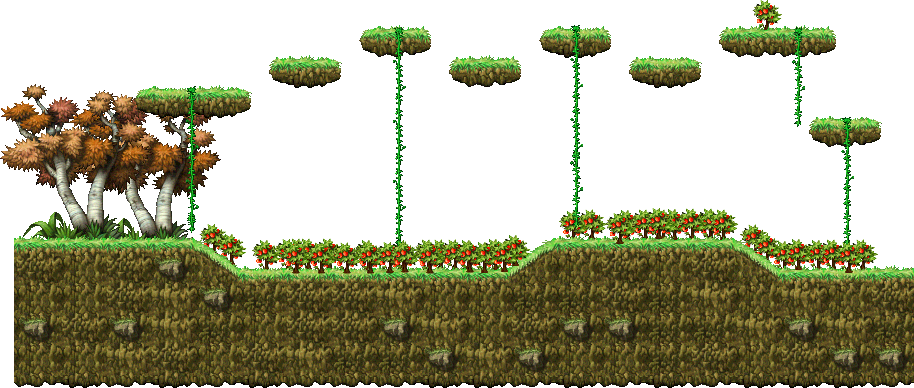 Tomato Field
