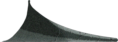 Dead Horntail's Tails